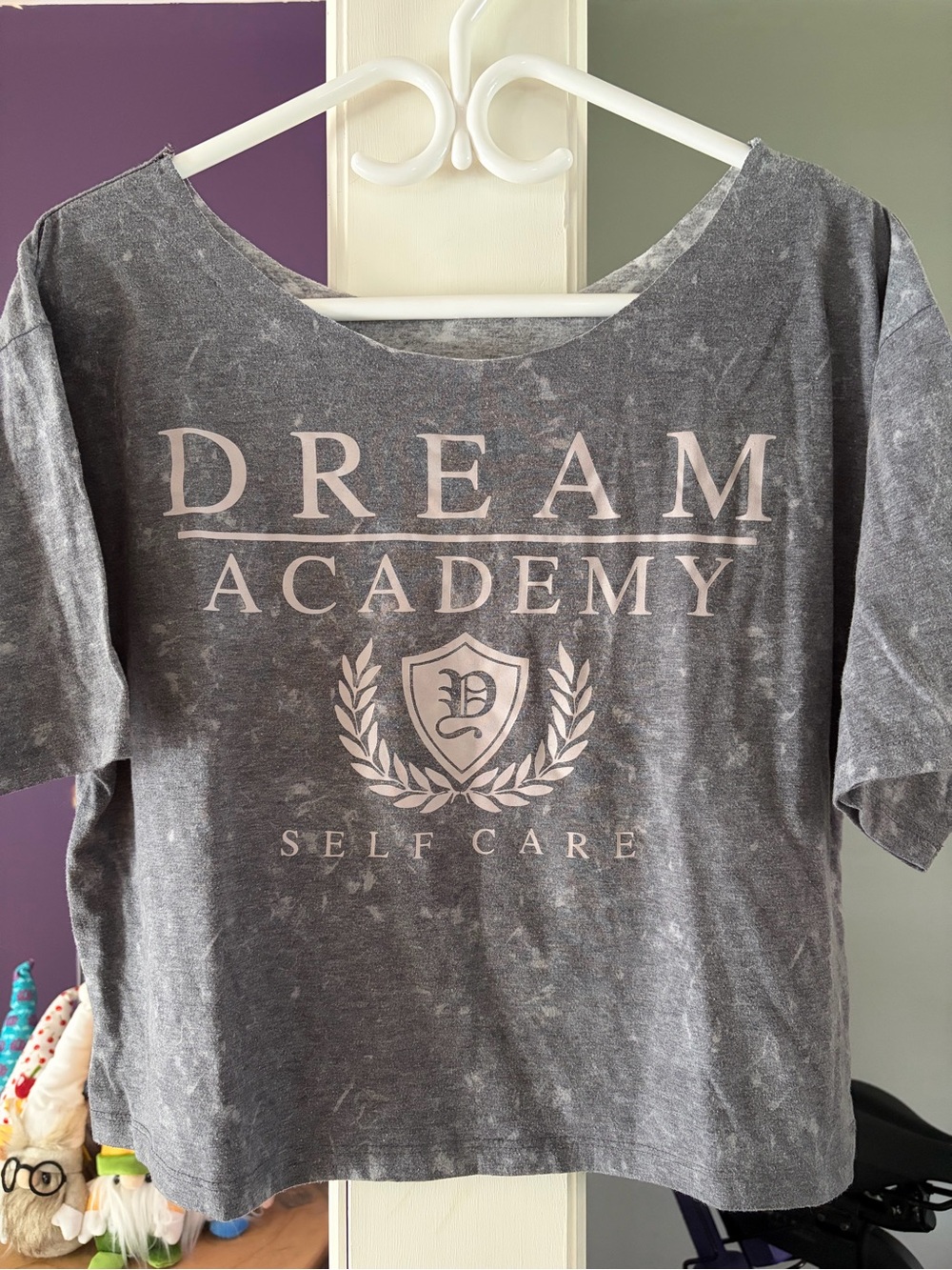Dream Academy 'Self Care' Graphic Crop Tee - Gray with Light Pink Print